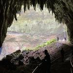 Parque Nacional de las Cavernas del Río Camuy