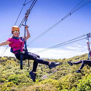 Zipline, Wine, and Dine in New Zealand