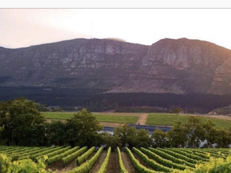 Tour of Cape Town Winelands