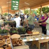 Harrisonburg Farmers Market