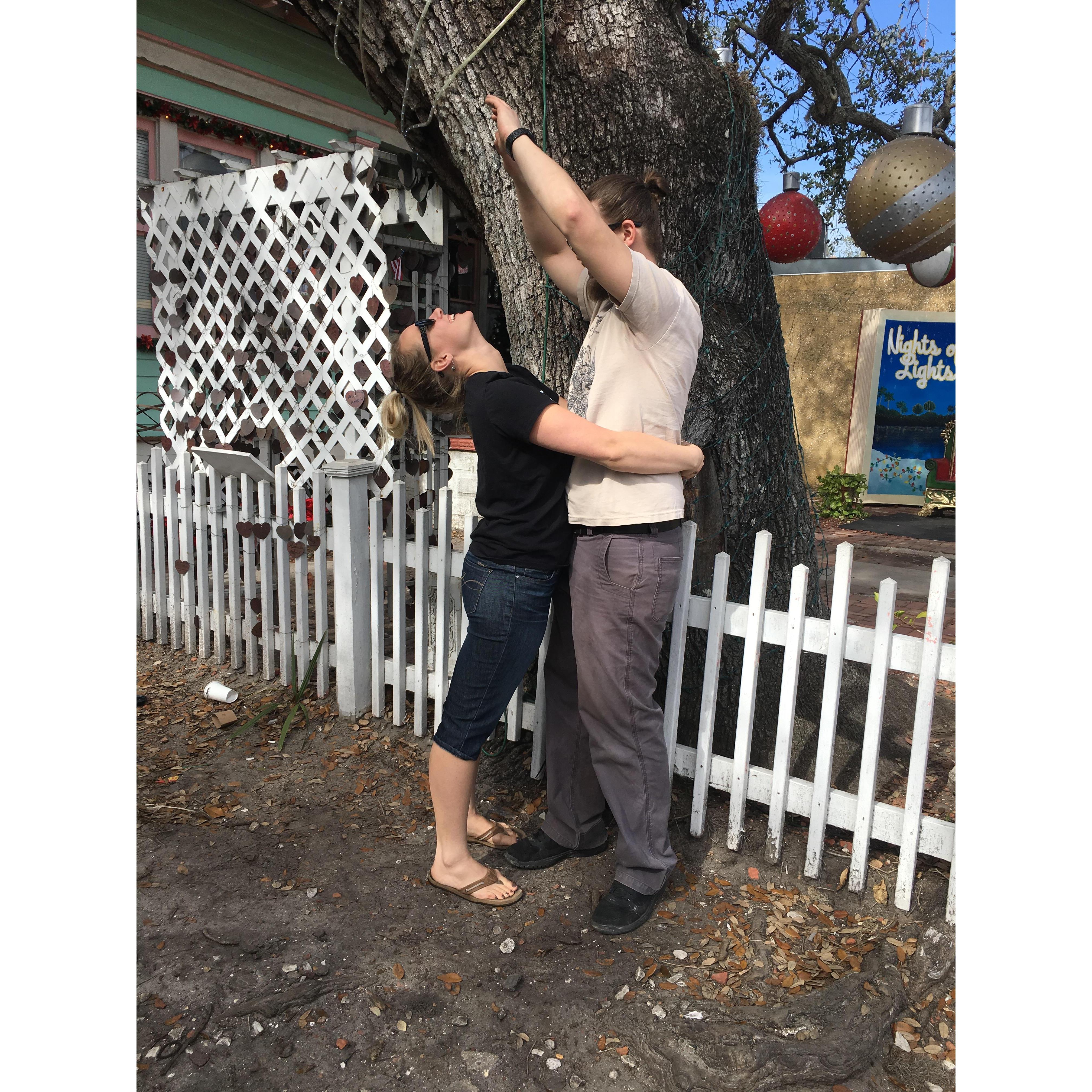 We are the " hugging tree "