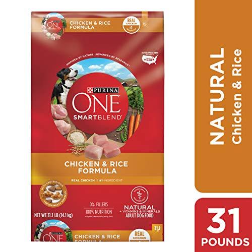 Purina ONE SmartBlend Natural Adult Dry Dog Food
