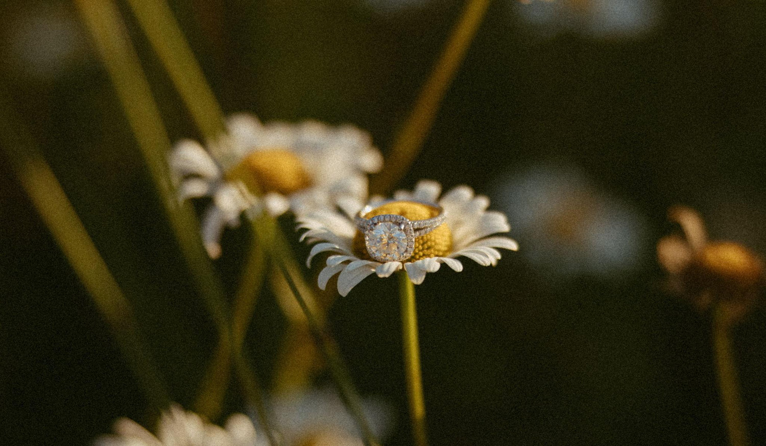 Footer image