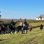 Massbach Hounds Hunt - 9am Saturday