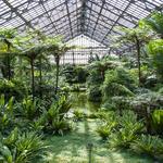 Garfield Park Conservatory