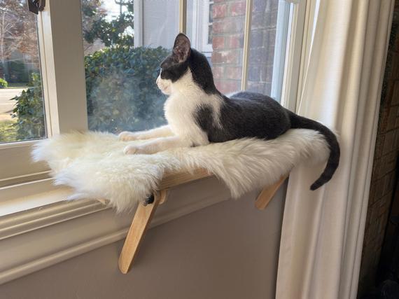 Cat Window Perch | Cat Shelf | Window Sill | No Tools Installation | No Nails Needed | No Velcro Needed | Installed and Removed in 1 minute