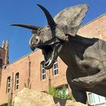 Yale Peabody Museum