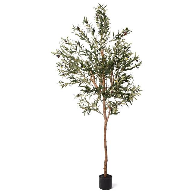 Arti Botani 6FT Artificial Olive Tree - Realistic Faux Silk Indoor Plant with Lifelike Olives, Sturdy Natural Wood Trunk - Perfect for Home & Office Decor - Includes Free Beginner's Guide eBook