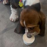 Ben & Jerry's