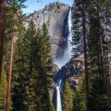 Yosemite National Park