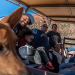 Safari Jeep Tours