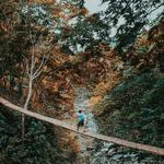 Bucari Pine Forest and Campsite