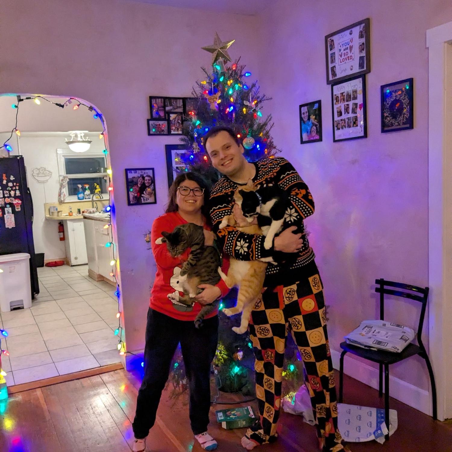 Christmas 2025 with our fur kids.