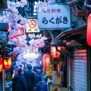 Tokyo guided food tour