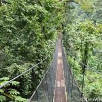 Rainmaker Hanging Bridges Hike