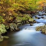 Fly Fishing or Hiking - SNP