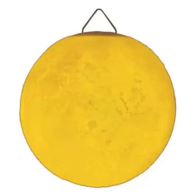 Global Caravan™ 8-Inch LED Moon Round Table Lamp