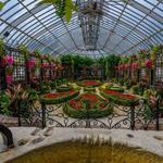Phipps Conservatory and Botanical Gardens