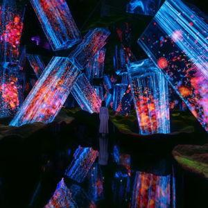 teamLab Art Exhibit