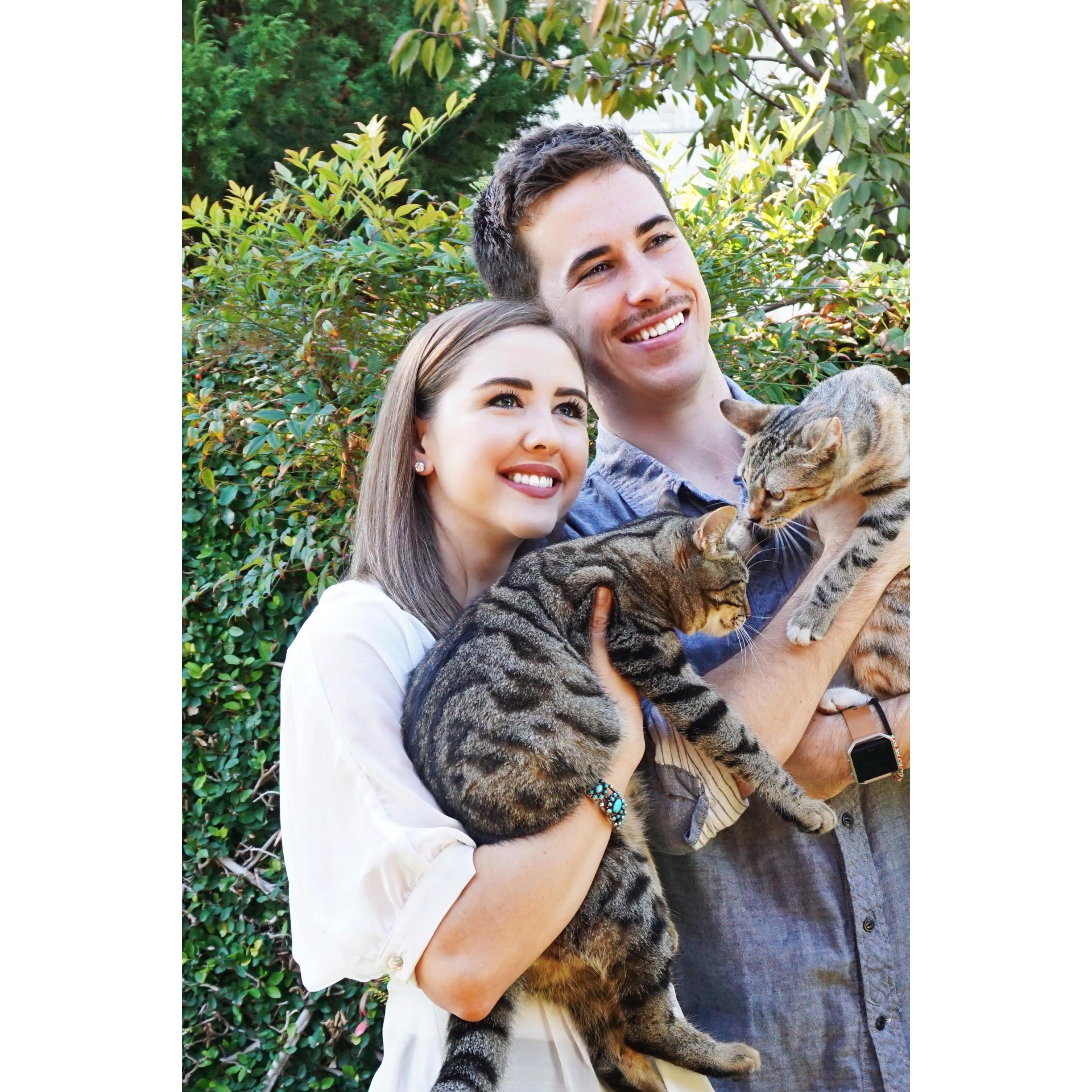 Throwback to when Joey grew the worst mustache ever (also, we love cats)!