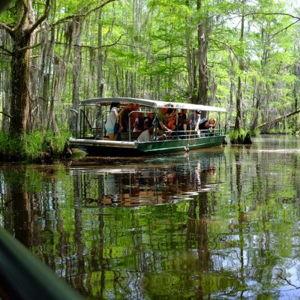 Bayou Swamp Tour