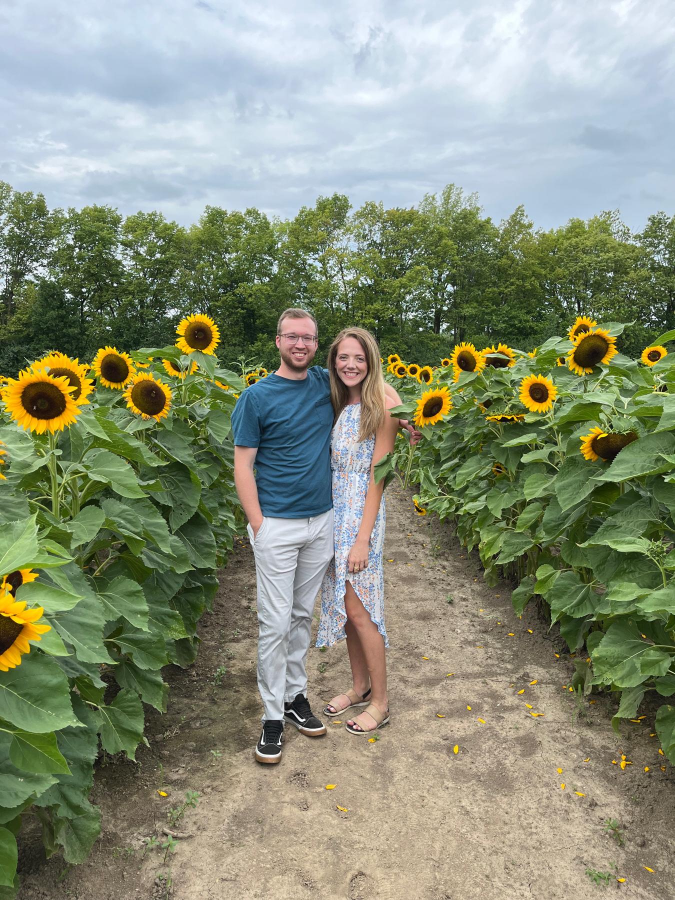 Sunflower fields make the best photo ops