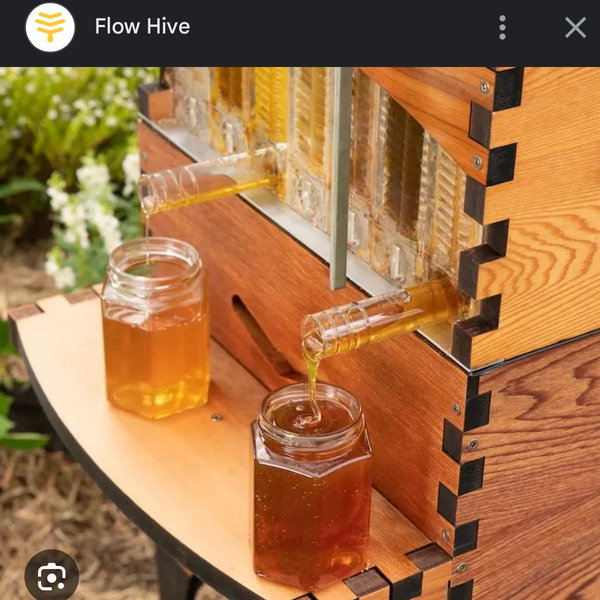 Flo Hive