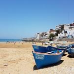 Taghazout beach