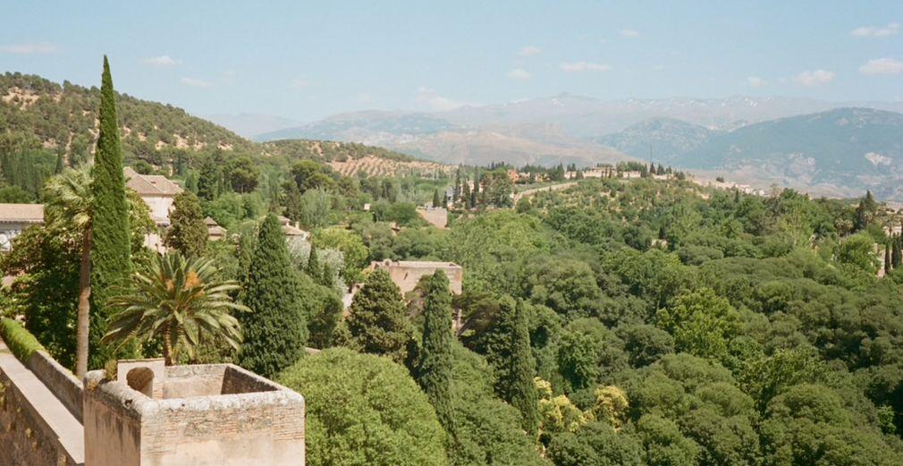 The Wedding Website of Grant Hemsley and Alex Alverson