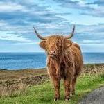 Visit the Scottish Highlands