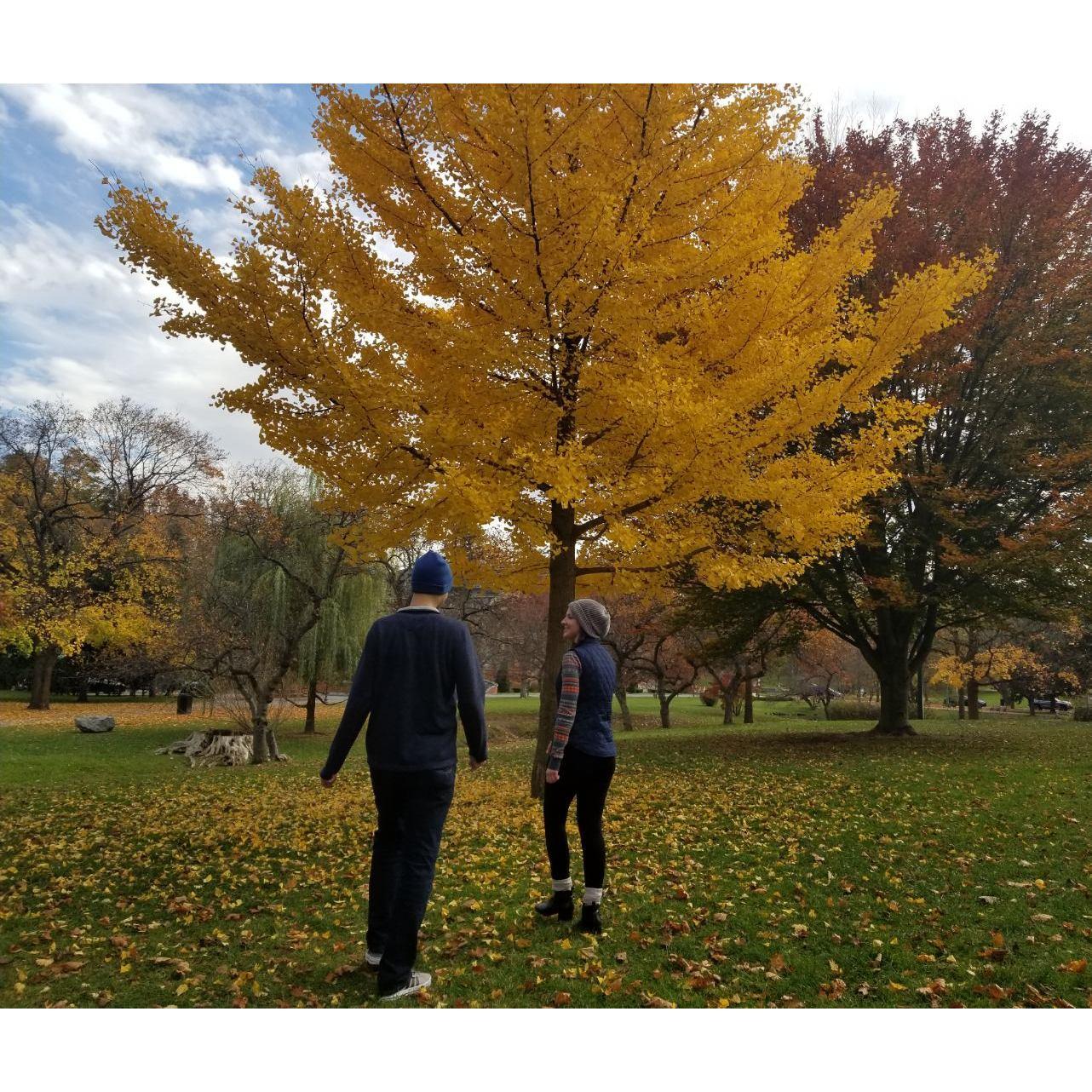 Public Park in Saratoga Springs, NY
