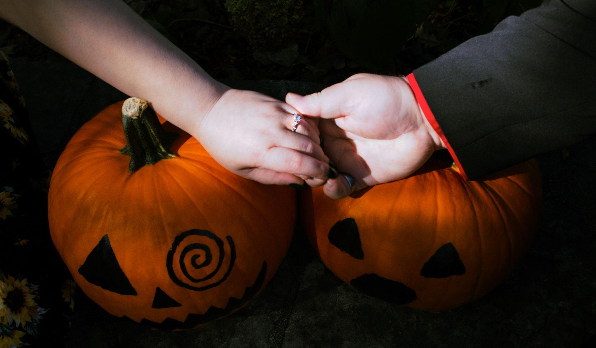 Hero Slideshow Image 0