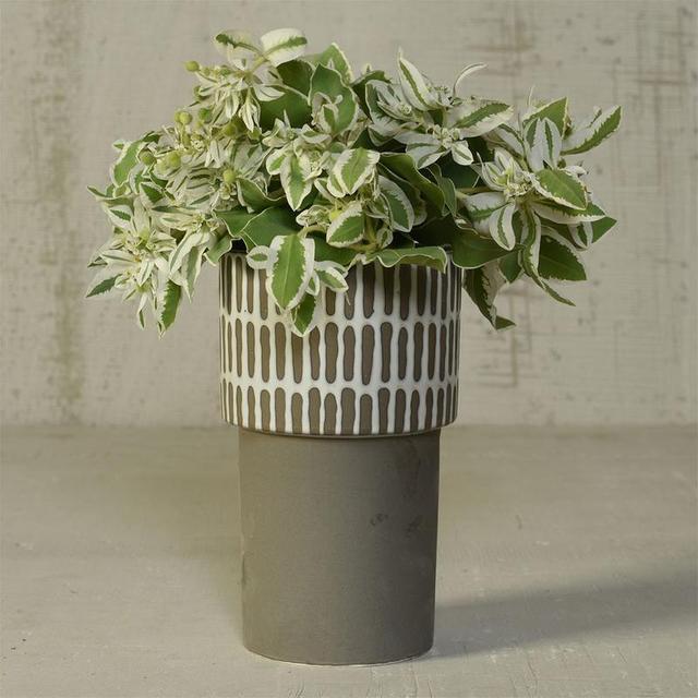 Dash Planter