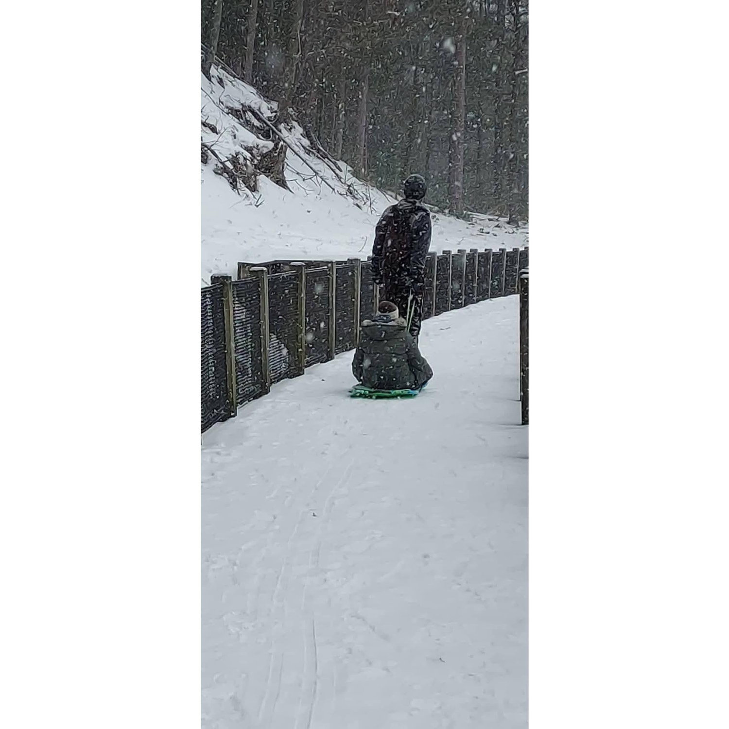 A one-horse open sleigh? Or a one-Jacob open sled ride?