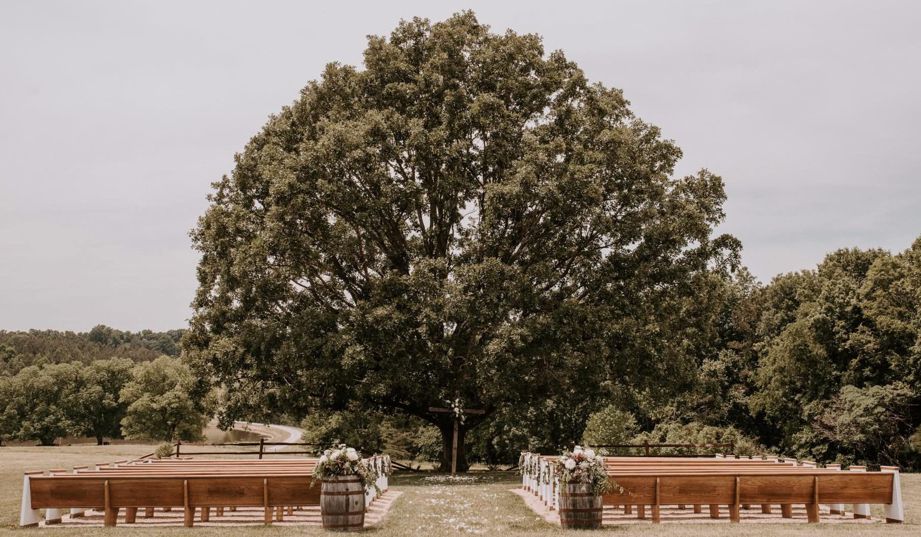 The Wedding Website of Amber O’Toole and Brewster Marshall