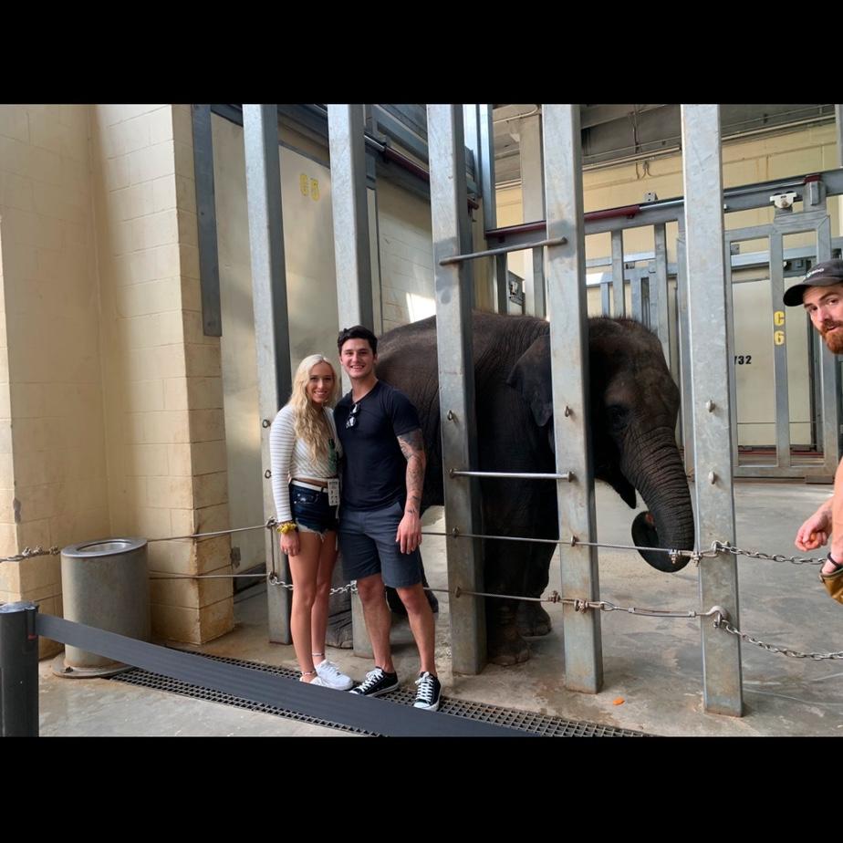 Got to meet a baby elephant in Oklahoma while Josh was on a work trip.
