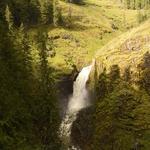 Elk Creek Falls Trailhead and Picnic Area