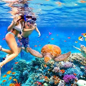 Snorkeling on Our Honeymoon in the Dominican Republic
