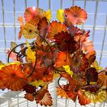 Chihuly Exhibit at the Franklin Park Conservatory