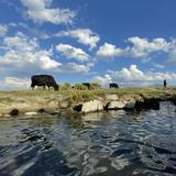 Wild Willy's Hot Spring