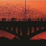 S. Congress Ave. Bridge Bats
