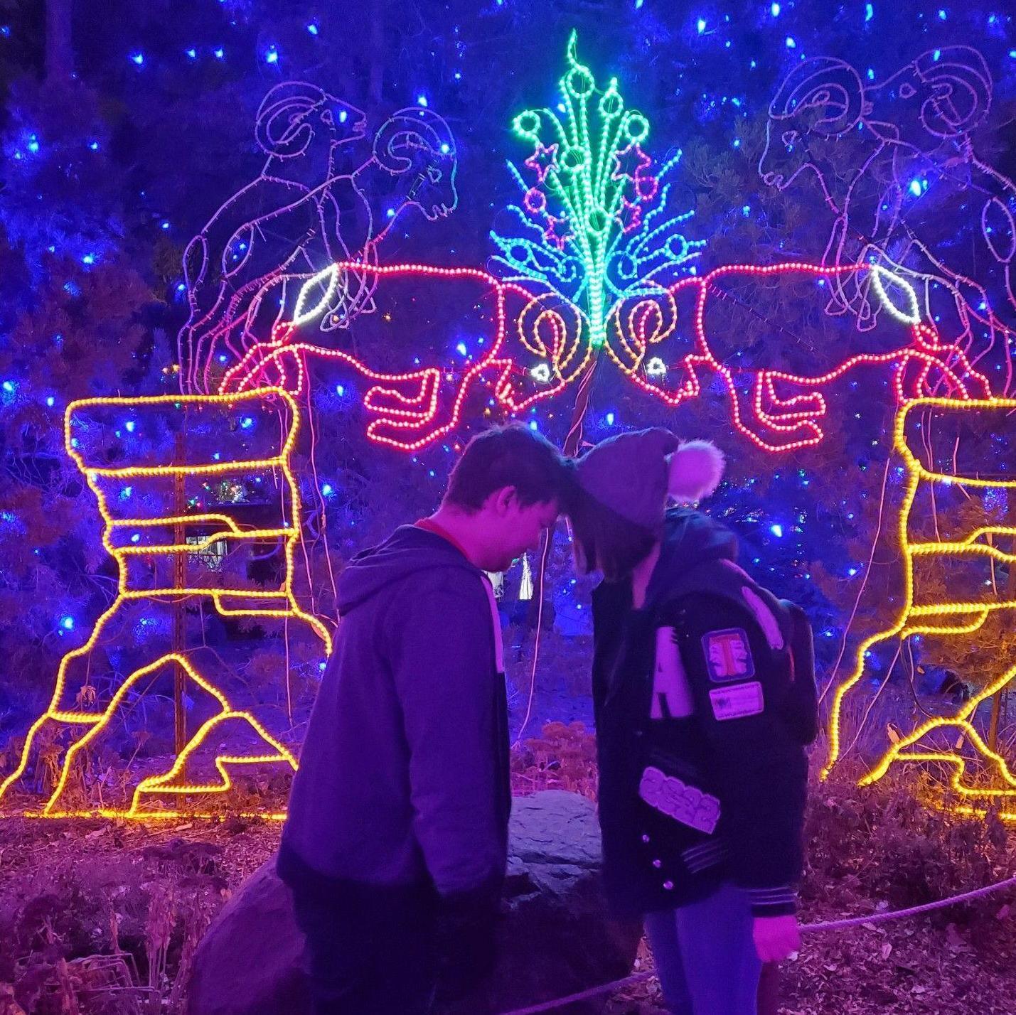 Zoo Lights 2021