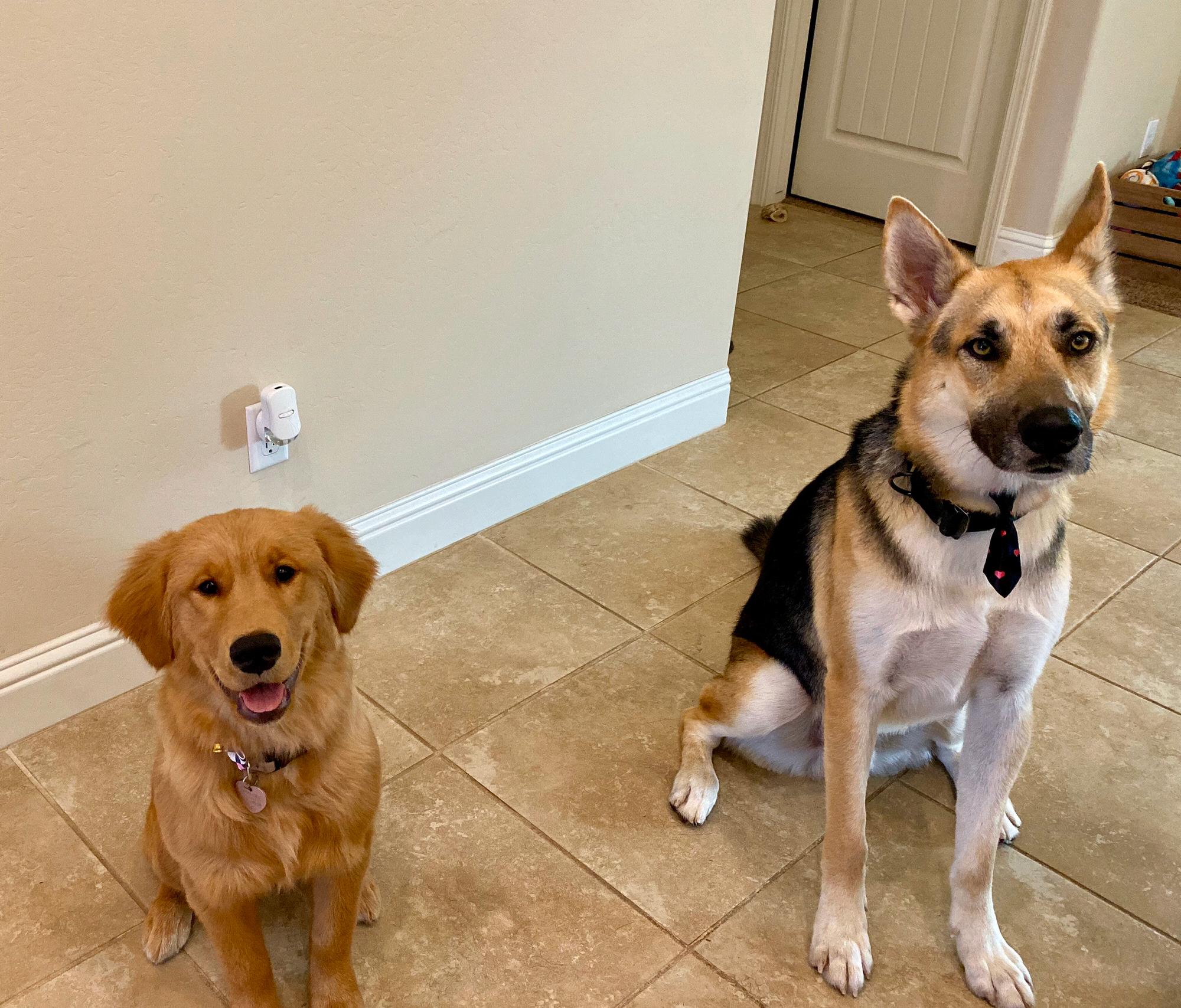 Both our children!