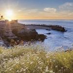 La Jolla Cove