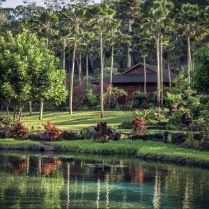Sensei Lānaʻi Experience
