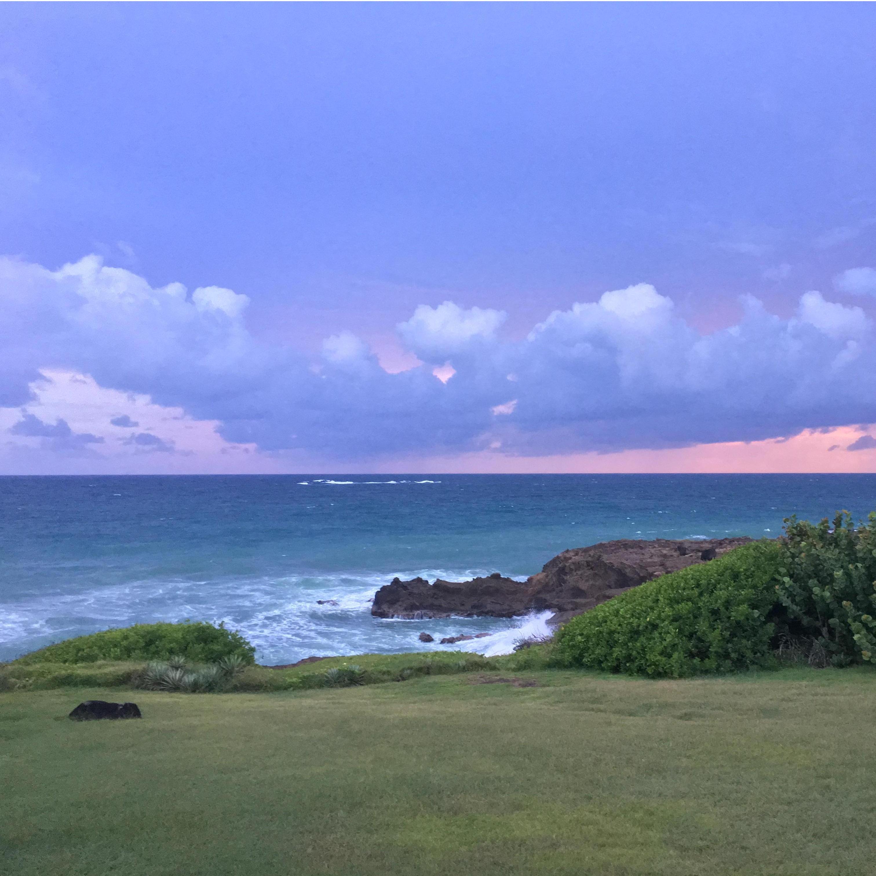 Our backyard in Grenada
