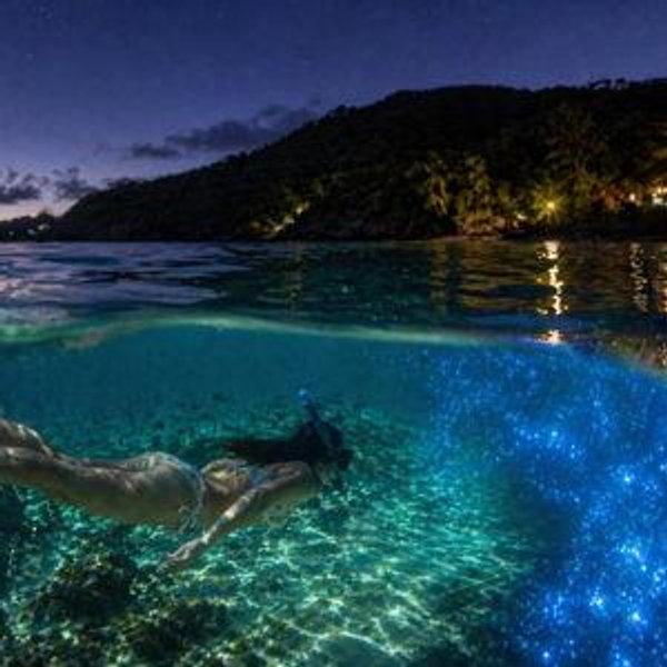 Snorkeling & Bio Bay Tour