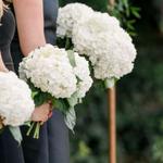 The Palms at Town & Country