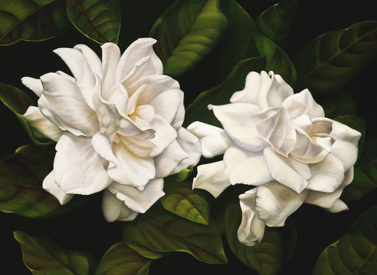 46898558-3517-41d8-9041-01959a3dfff3