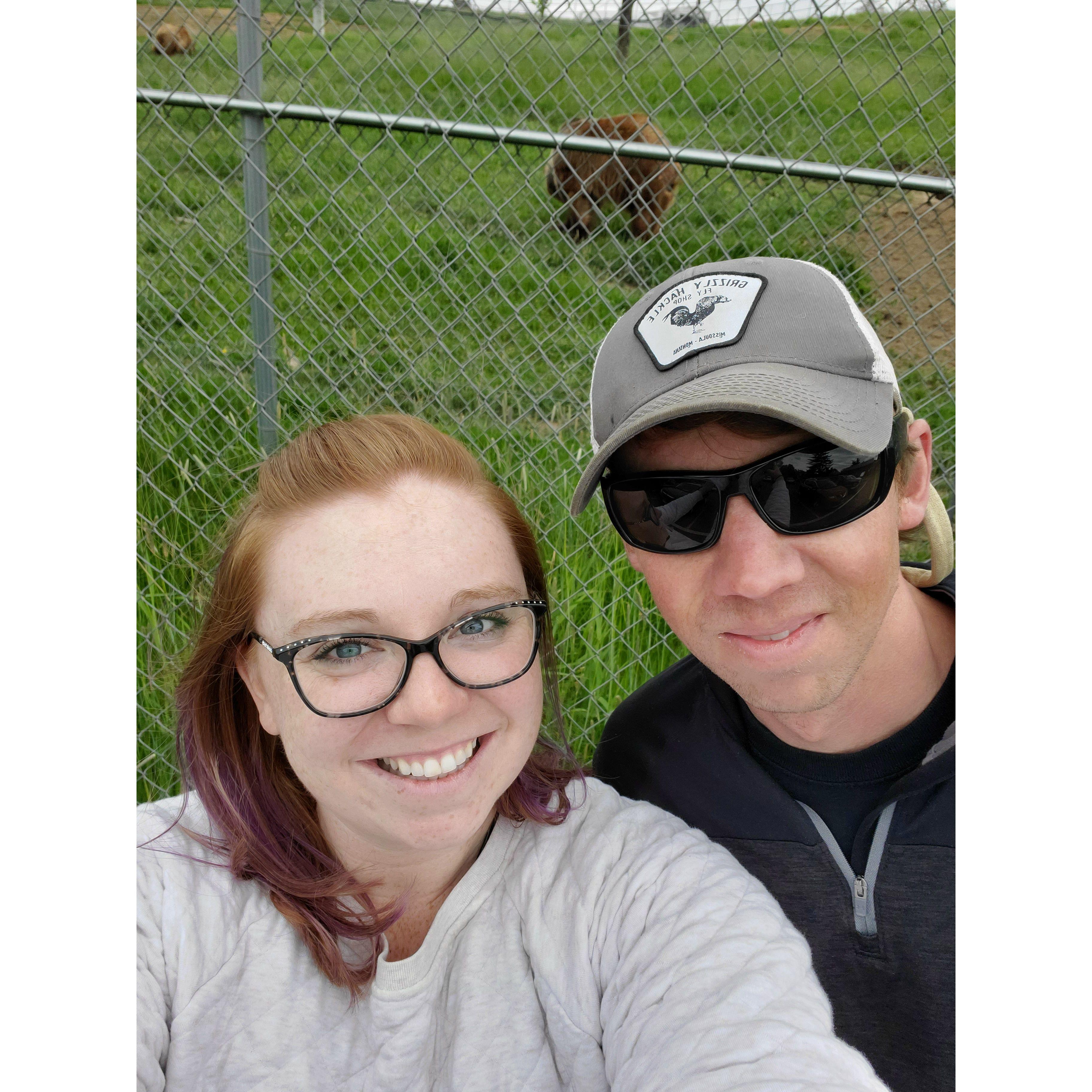 Visiting the bears at WSU go Cougs!